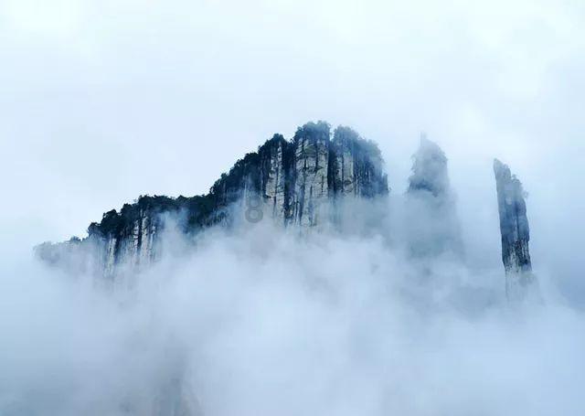 逃离幽灵之林