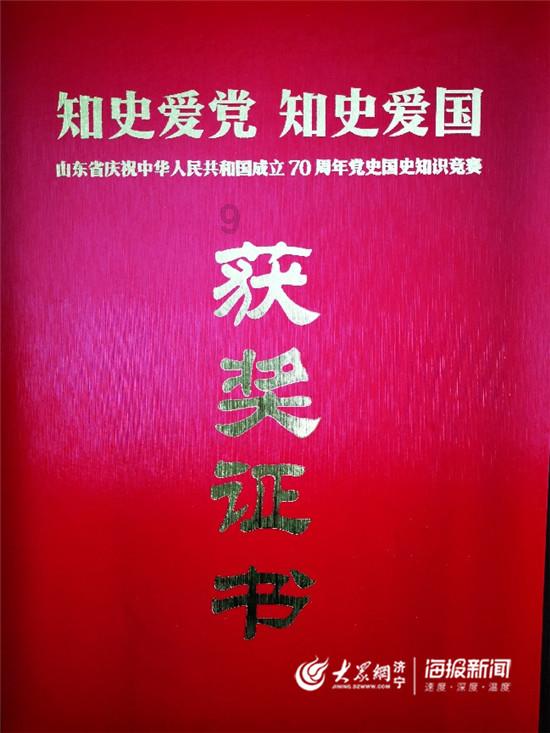 可爱小猫向上跳
